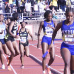 Hydel Does It Again with A Record