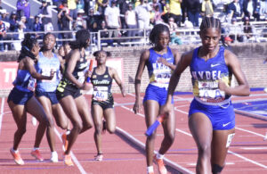 Hydel Does It Again with A Record